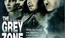 灰色地带电影在线观看,揭秘电影中的道德边缘